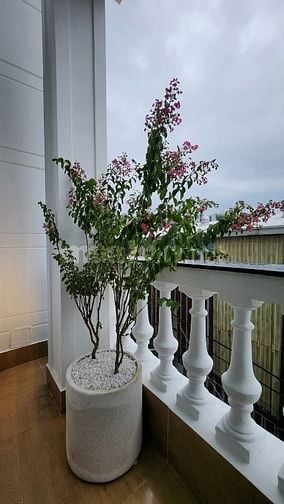 Đi nước ngoài định cư bán gấp nhà ở đường Võ Văn Tần, phường 6, quận 3