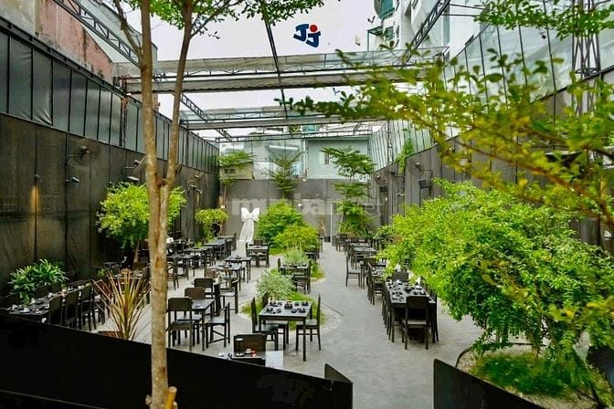 Bán Nhà Mặt Tiền Nguyễn Trãi Quận 1 DT 11.5x70m nở Hậu 12,3mTổng 851m2