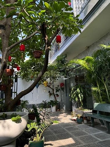 Chính chủ cho thuê khách san 19phòng