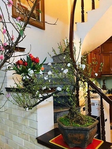 Mặt ngõ Đặng Tất giá 14 tỷ, 36mx5 tầng, ở được luôn
