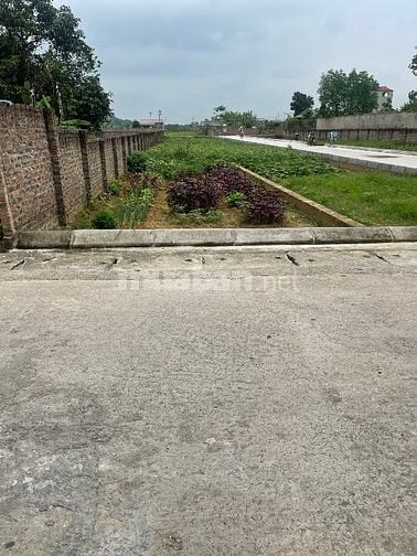 NHỈNH 3 TỶ – SỞ HỮU NGAY 88M² ĐẤT ĐẸP Mặt tiền 5,2m – Đan Tảo-Tân Minh