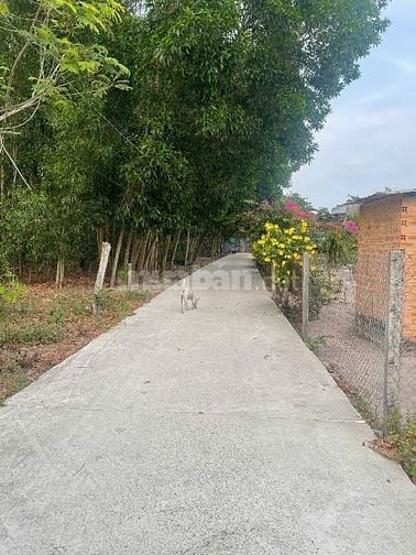 CHÍNH CHỦ LÔ ĐẤT THỊ TRẤN PHƯỚC BỬU – GIÁ RẺ NHẤT KHU VỰC, CHỈ 1.55 TỶ