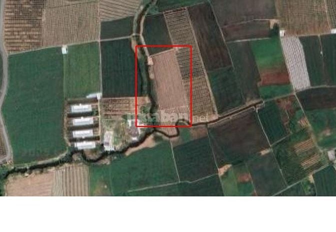 Bán đất Mặt Tiền, Gần Trường học THCS NV Được, Gò Công, Tiền Giang.
