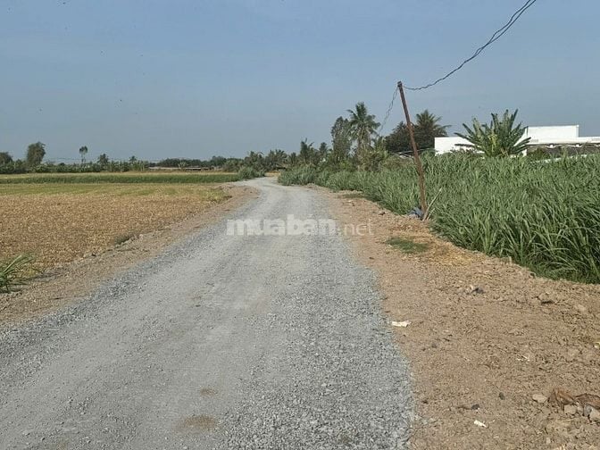 Bán đất Mặt Tiền, Gần Trường học THCS NV Được, Gò Công, Tiền Giang.