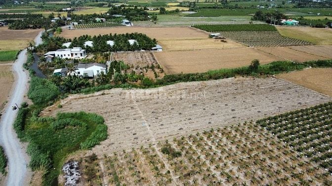 Bán đất Mặt Tiền, Gần Trường học THCS NV Được, Gò Công, Tiền Giang.