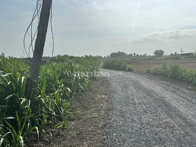 Bán đất Mặt Tiền, Gần Trường học THCS NV Được, Gò Công, Tiền Giang.
