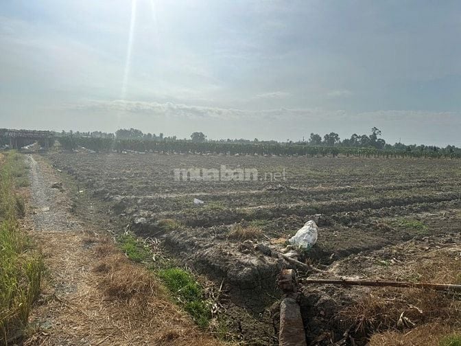 Bán đất Mặt Tiền, Gần Trường học THCS NV Được, Gò Công, Tiền Giang.