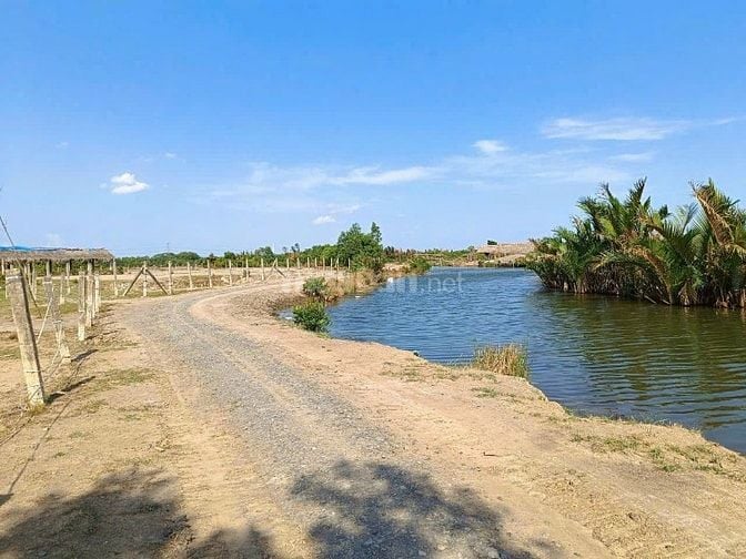  Bán gấp đất nhà vườn Phú Hữu Nhơn Trạch sát TP giá rẻ 2tr/m, MT sông