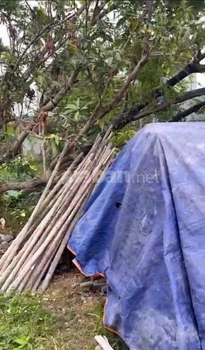 Cần bán lô đất 60,1m2 tại Văn Phong, Đồng Thái, giá 1,47 tỷ