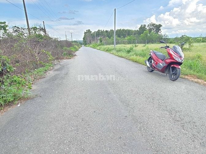 Chủ cần bán mặt tiền Trần Phú, Phước An, Nhơn Trạch, có 500m2 thổ cư