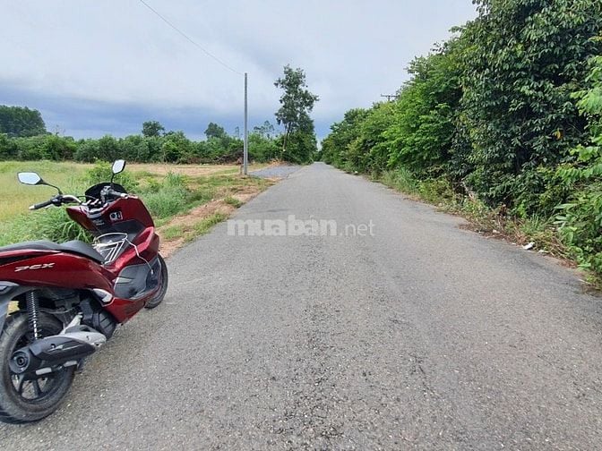 Chủ cần bán mặt tiền Trần Phú, Phước An, Nhơn Trạch, có 500m2 thổ cư