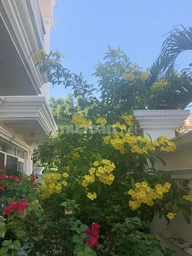 CHO THUÊ BIỆT THỰ 2 MẶT TIỀN - BÌNH THẠNH