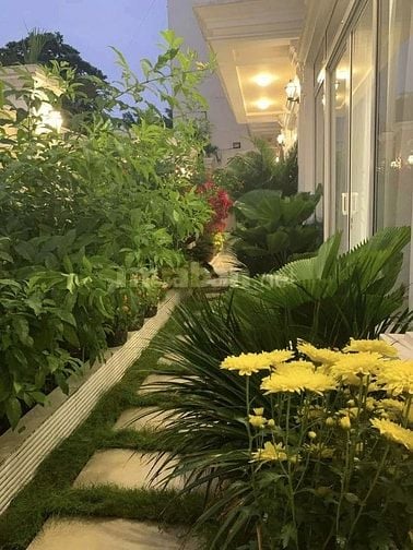 CHO THUÊ BIỆT THỰ 2 MẶT TIỀN - BÌNH THẠNH