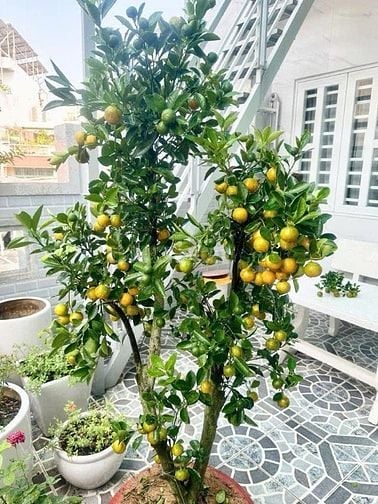 NHÀ BÙI ĐÌNH TÚY - HẺM Ô TÔ - 2 TẦNG - PHƯỜNG 24 - BÌNH THẠNH