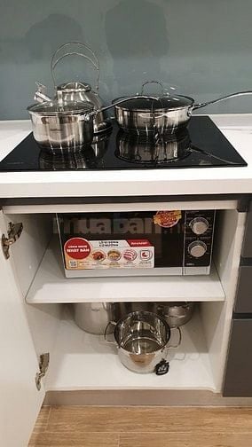 chính chủ cho thuê căn hộ cao cấp 1 phòng ngủ, 1 vệ sinh, 