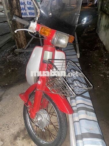 Cub 82 đỏ