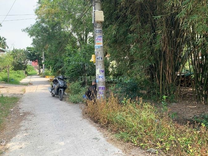 Đất thổ cư KDC đường Bùi Công Trừng 