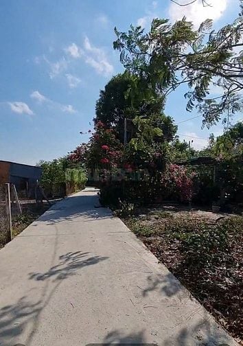BÁN GẤP LÔ ĐẤT THỊ TRẤN PHƯỚC BỬU – GIÁ RẺ NHẤT KHU VỰC, CHỈ 1.55 TỶ