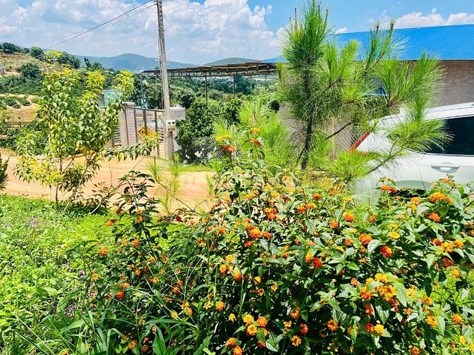 Bán 391m2 đất Nam Ban, sẵn 210m2 ODT, view toàn cảnh thị trấn