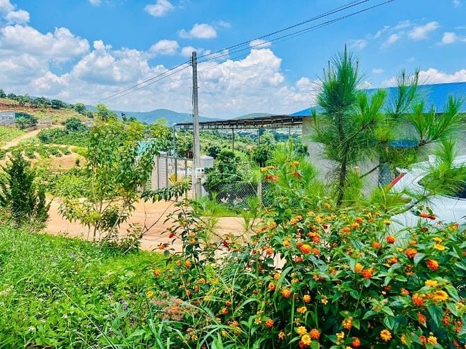 Bán 391m2 đất Nam Ban, sẵn 210m2 ODT, view toàn cảnh thị trấn