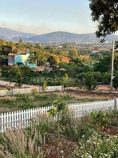 Bán 391m2 đất Nam Ban, sẵn 210m2 ODT, view toàn cảnh thị trấn