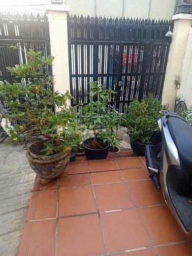 Cần bán nhà quận 2 phường thảo điền đường số 61