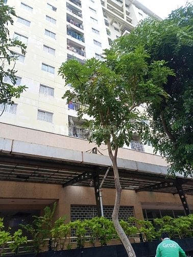 Cho thuê nhà mặt tiền Vườn Lài, P.Phú Thọ Hòa, Q.Tân Phú  Giá 13tr