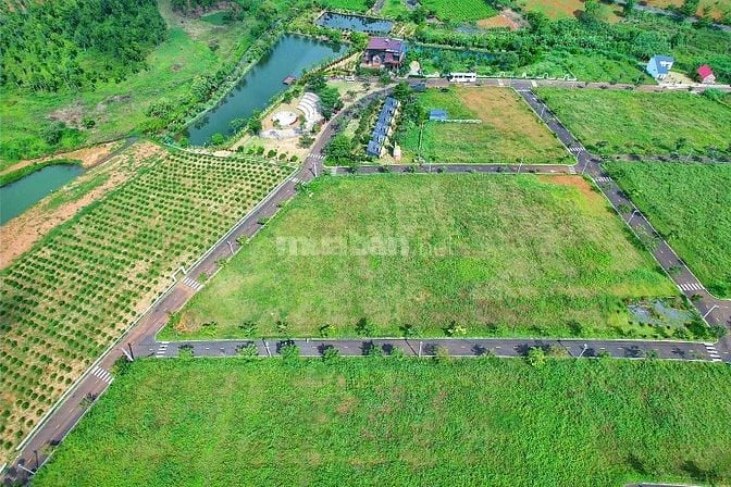 ĐẤT NỀN BẢO LỘC - NGAY ĐỒI CHÈ TÂM CHÂU- SỔ HỒNG TỪNG NỀN