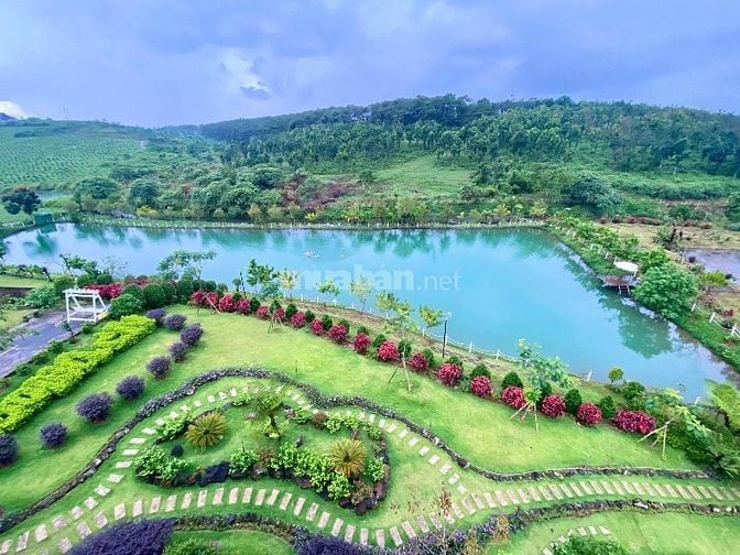 ĐẤT NỀN BẢO LỘC - NGAY ĐỒI CHÈ TÂM CHÂU- SỔ HỒNG TỪNG NỀN
