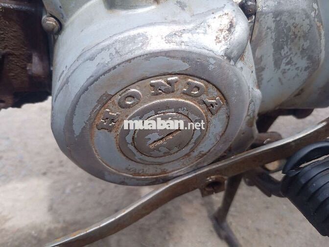 Dh88 nhập