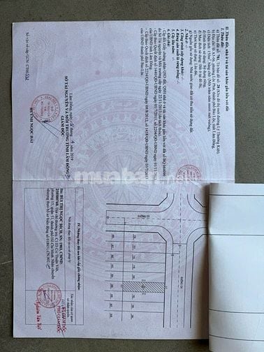 Chính chủ cần bán căn hộ tại khu đô thị Nam Phương City