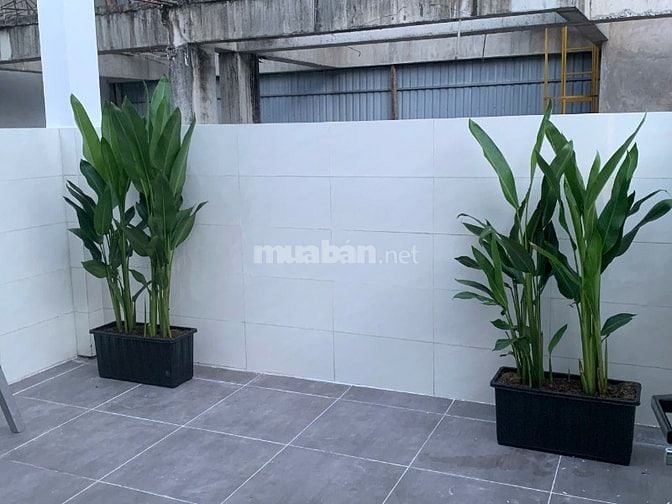 Bán nhà đường Lê Văn Việt , Quận 9 _ DT : 70m , 4PN , Hướng Tây Bắc