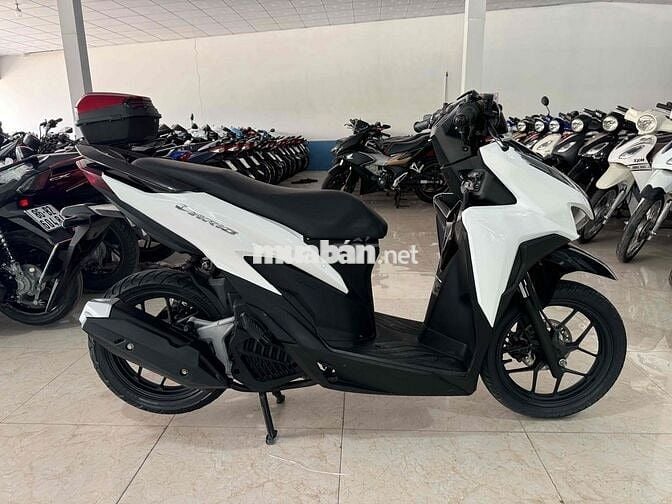 Vario 2021