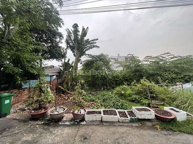 Bán lô đất ở Phước Long B, TĐ hẻm 5m sát MT ngang 6,6 nở hậu, SHR 3ty5