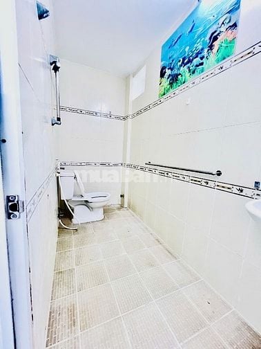 Bán nhà hẻm Nguyễn Trãi, Phường 3, Quận 5, 4x26m