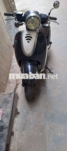 Bán xe ga 50cc