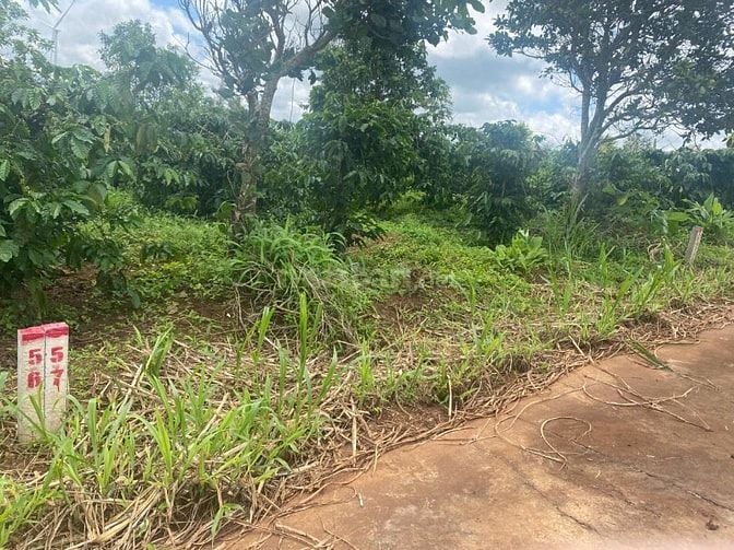 Cần bán lô đất đẹp tại Cư Pơng , Krong Buk, Đắk Lắk.