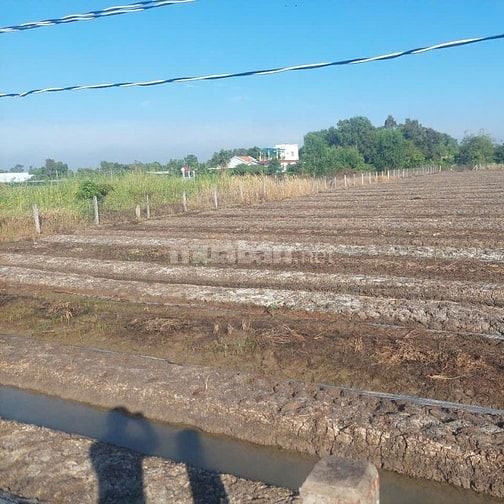 Cần Bán Gấp 1.521m² Đất Vườn Giá Tốt – Ấp Ngoài, Xã Phước Hậu, Cần Giu