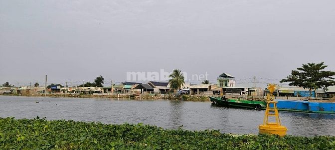Đất mặt tiền ven sông làng mai vàng Bình Lợi kề bên trạm búyt BL-C.Lớn