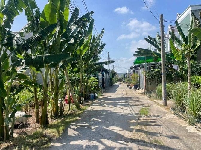 Chính chủ cần bán gấp trong tuần nền đất Tân Kim