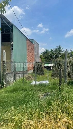 Chính chủ bán gấp lô vườn có thổ cư 250m, giá 1,5 tỷ đường nhựa 6m.