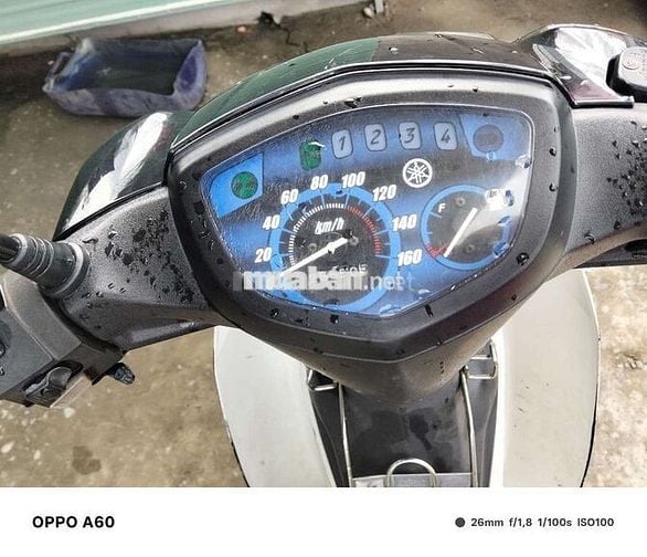 sirius 2013 bstp dể thuong