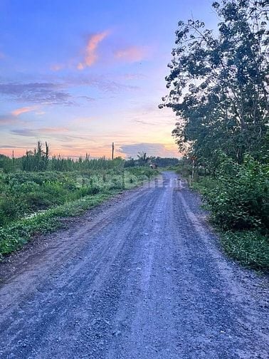 1056m2 mặt tiền đường xe hơi thông. Dân cư đông. 700tr 