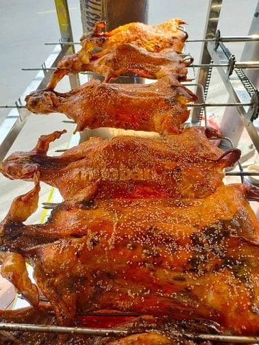 Bán thịt thỏ tươi sạch, thỏ nướng, quận 8 thành phố Hồ Chí Minh