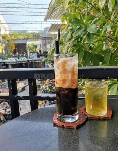 TUYỂN PHỤ BÁN CAFE – ĐI LÀM NGAY!