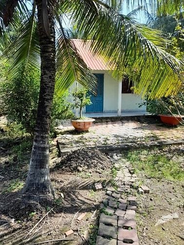 Nhà vườn Phước Khánh Nhơn Trạch sát TP.HCM giá rẻ,đường xe tải, SR chu