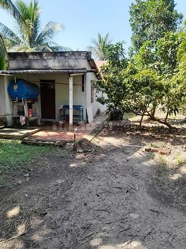 Nhà vườn Phước Khánh Nhơn Trạch sát TP.HCM giá rẻ,đường xe tải, SR chu