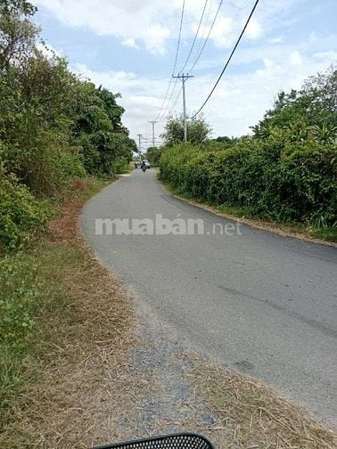 CHÚ CHỊU LỖ BÁN GẤP LÔ ĐẤT XÃ TÂN THÔNG HỘI CỦ CHI TIỆN ÍCH XUNG QUANH