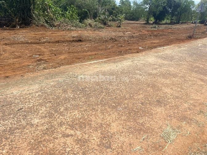 Bán Gấp Lô Đất Full Thổ Cư Cách CT Dầu Giây Phan Thiết 200m. Giá 560TR
