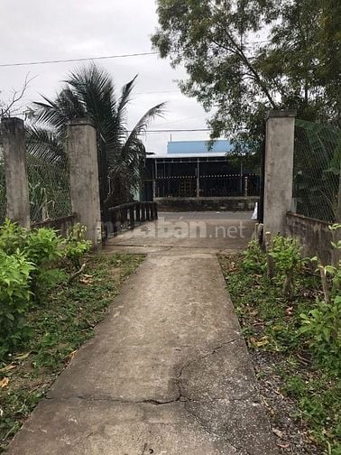 Bán nhà tại Xã Tân Hương, Châu Thành, Tiền Giang, 303 m2